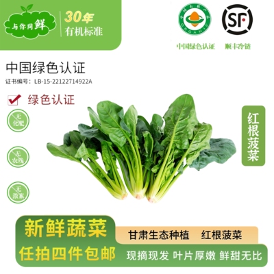（顺丰冷链）有机菠菜现摘现发红根菠菜新鲜蔬菜火锅食材宝宝辅食