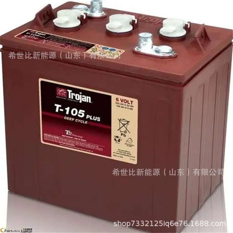 TROJAN邱健蓄电池T105PLUS堆高机升降机6V225AH观光旅游车动力型