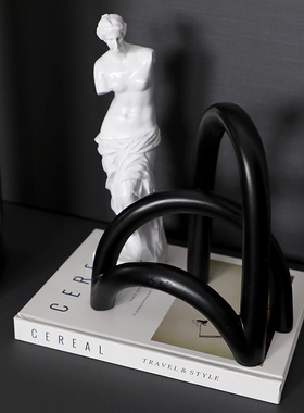 高级感样板房间花艺售楼处轻奢创意装饰摆件客厅玄关书房软装搭配