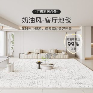 房间卧室床边毯轻奢高级感地垫大面积全铺 奶油风地毯客厅2024新款