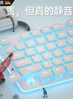 德国有线台式静音键盘鼠标套装电脑通用女生办公游戏笔记本专用