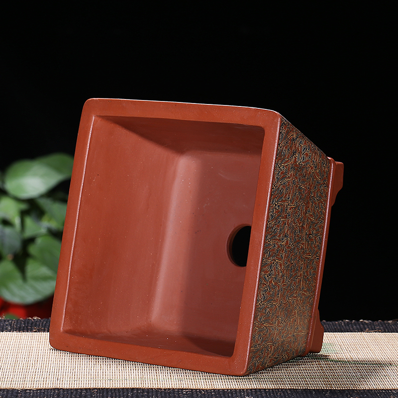 宜兴紫砂花盆多肉菖蒲兰花榕树松柏块根盆景花盆桌面花卉绿植花盆