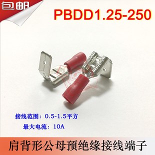 PBDD1.25 250肩背形公母一体预绝缘接线端子线耳线鼻子黄铜1000只