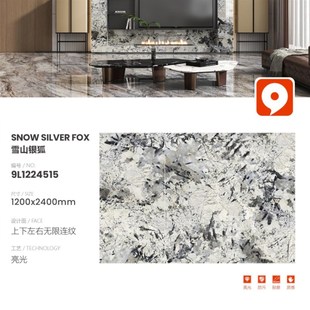 客餐厅电视背景墙岩板1200x2400板材威尼斯棕亮光简约连纹大板