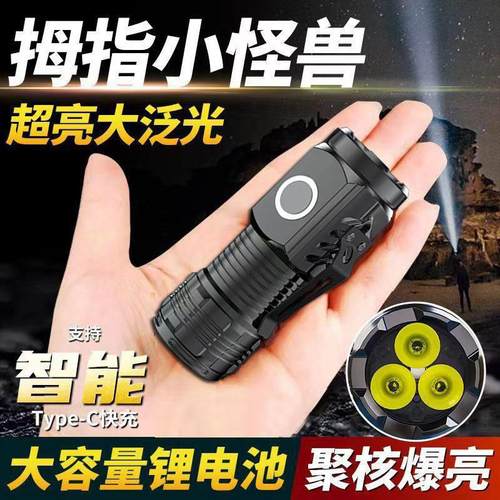 【巨亮】德国进口手电筒便携式户外可充电登山家用潮流多功能灯
