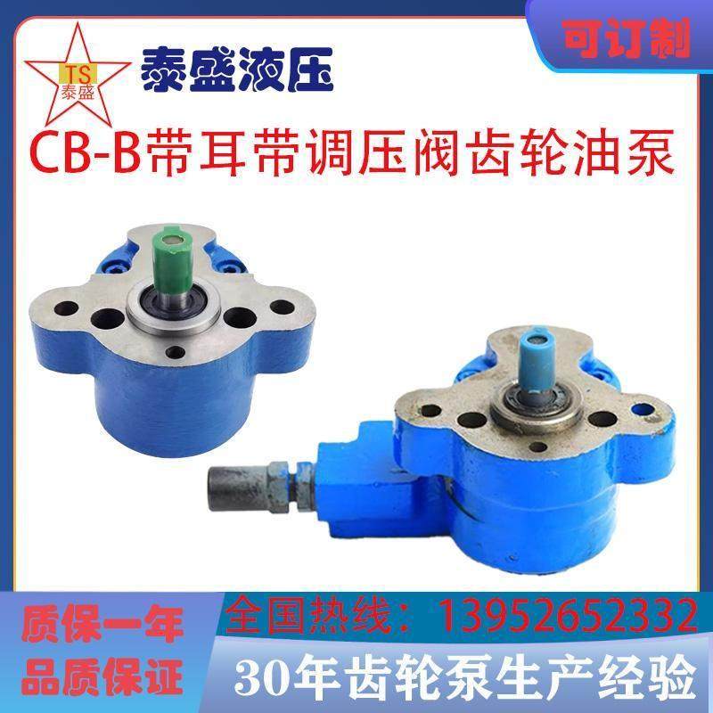 带耳朵调压阀齿轮泵LRB-6 CB-B10-D CB-B4 CBW-B2.5锯床油泵电机