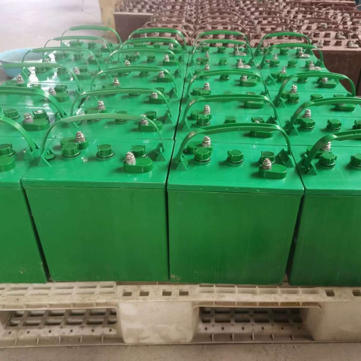 英特尼森3-DG-230(3-EV-190)牵引电瓶6V260AH动力蓄电池