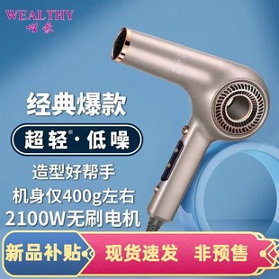 超级大促 世豪R500电吹风机负离子发廊理发店超轻静音家用