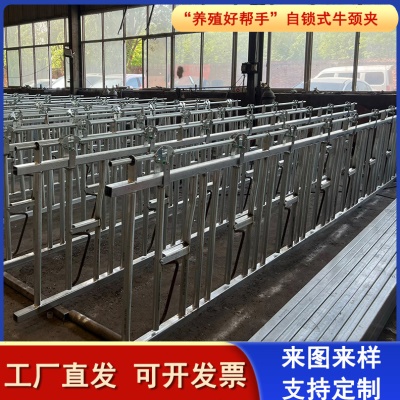 牛场栏位开双开牛场设备牛颈夹配件畜牧牛颈枷羊颈夹