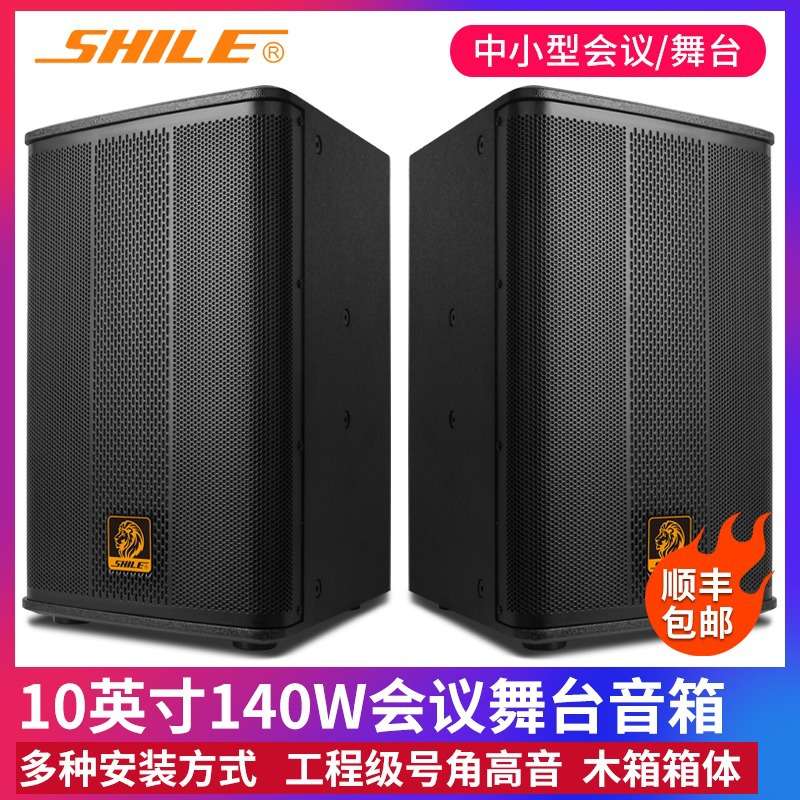 狮乐 BX-505专业音响舞台10英寸会议活动主持婚庆大功率140W音箱