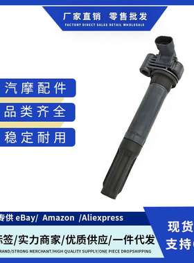 厂价99660210101 UF346 C1359  99660210200点火线圈适用PORSCHE