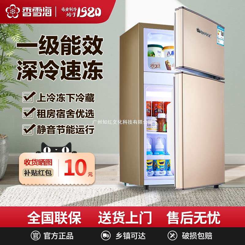 香雪海冰箱小型家用节能二人双开门出租房宿舍用迷你能效直冷