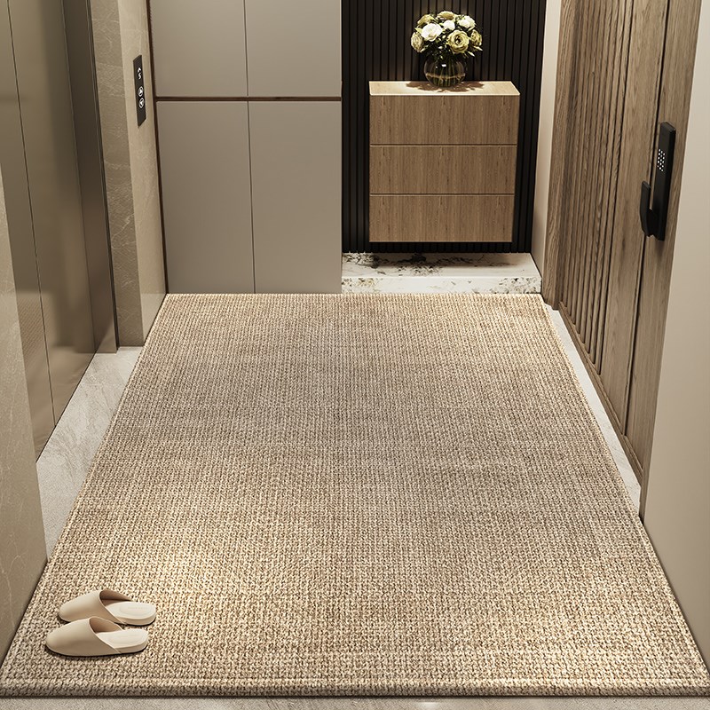 入户门地垫简约轻奢高档客厅卧室地毯进门大门口玄关免洗耐脏门垫