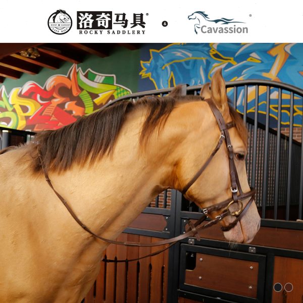 Cavassion牛皮水勒缰英式水勒缰绳马术用品骑马洛奇马具8218079