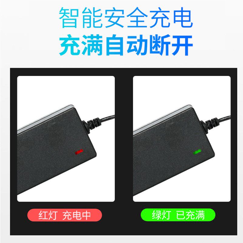 左拉电动平衡车充电器通用D圆头冲电线轮平行车领奥