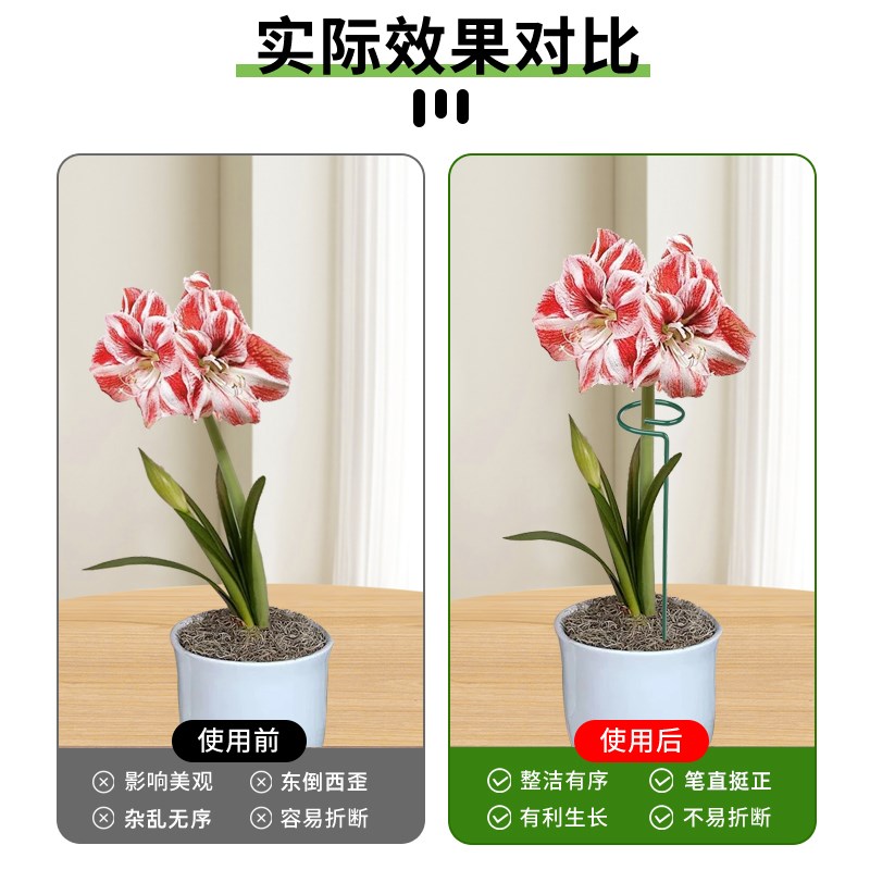 植物防倒伏支架绣球吊兰园艺固定架爬藤花卉朱顶红花架支撑杆护花