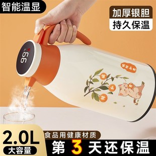 F大容量暖水瓶暖壶暖瓶玻璃内 保温壶家用热水瓶保温水壶2024新款