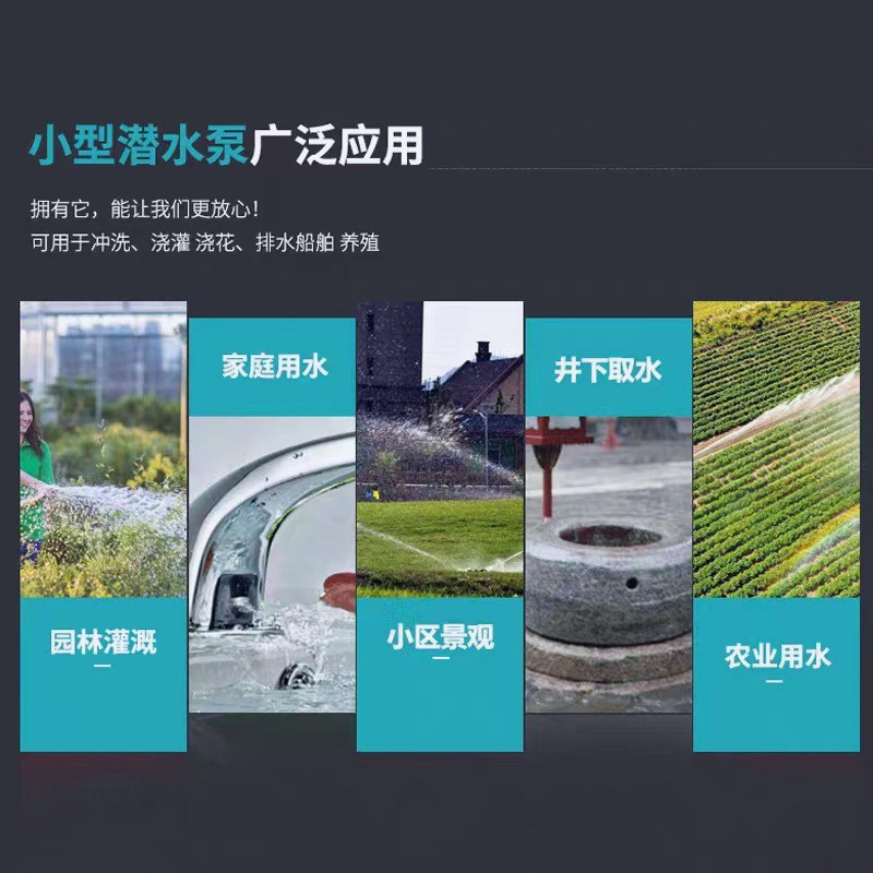 潜水泵高扬程家用小型农用灌溉污水泵抽粪泥浆化粪池抽水抽粪