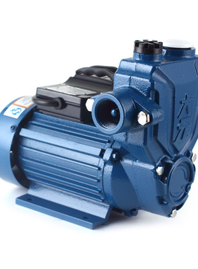 大元家用WZ高扬程自吸增压泵水抽水电泵高压循环泵电动单相22