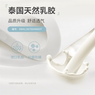 童画林追背学习椅学生功能椅小学生椅子家用矫正坐姿写字椅