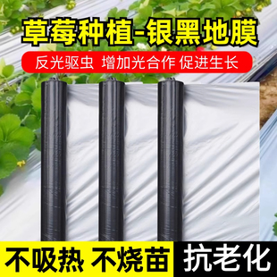 全新料银黑双色地膜加厚防虫反光地膜覆盖除草保温地膜薄膜农用