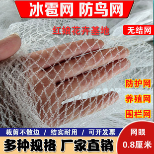 果园果树防鸟网种植专用养殖网尼龙网养鸡围栏防护防鸟用网冰雹网
