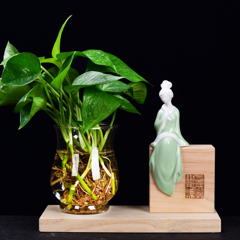 玻璃花瓶水培容器透明创意桌面装饰小摆件插花铜钱草绿萝花盆器皿