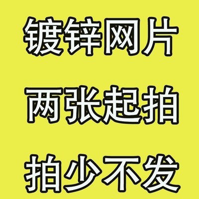 镀锌铁丝网片围栏小孔加粗养殖网狗笼养殖建筑钢筋长孔网格网铁丝