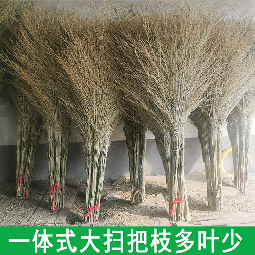 大扫把竹扫帚扫地马路扫院子的塑料丝庭院家用单个笤帚长扫室外