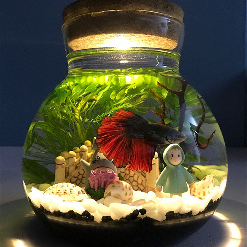 生态瓶微景观水族箱造景斗鱼缸创意缸办公桌面书桌客厅观赏玻璃缸,宠物/宠物食品及用品,生态瓶/创意缸/微景缸,淘宝优惠券,粉丝福利购,淘宝优惠卷
