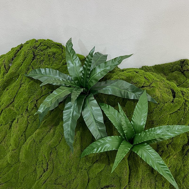 仿真乌巢蕨大型展叶鸟巢蕨盆栽植物耐旱肾蕨迷你蕾丝蕨家居装饰
