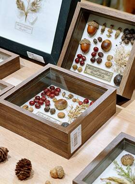 植物果实种子标本收纳盒收藏木质展示盒档精致饰品耳环复古相框
