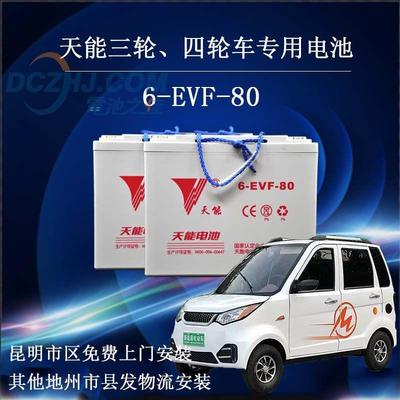 天能新能源电动汽车老年代步观光车用电池6V200AH12V100AH120AH等
