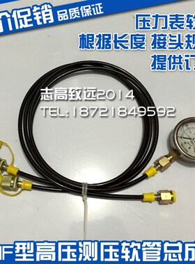 液压测试压力表 测压仪表装置PTB-H2/P1/P2/P3-40-1000测压软管