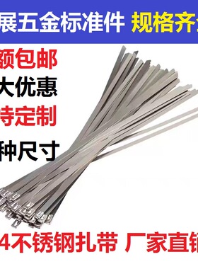 304不锈钢扎带4.6*200 300mm 100条 自锁式金属卡扣 白钢绑带