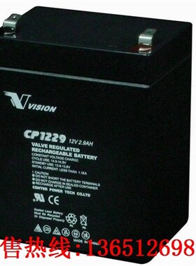 原装正品VISION威神CP1229 威神12V2.9AH太阳能蓄电池包邮