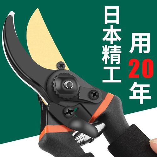 园艺剪修剪树枝专用剪刀果树修枝剪高枝剪刀家用树木花卉修枝剪刀