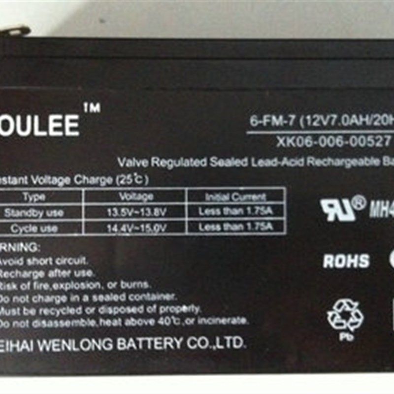 YOULEE 3-FM-7(6V7.0AH/20HR) 儿童电动童车铅酸蓄电池电瓶免维护