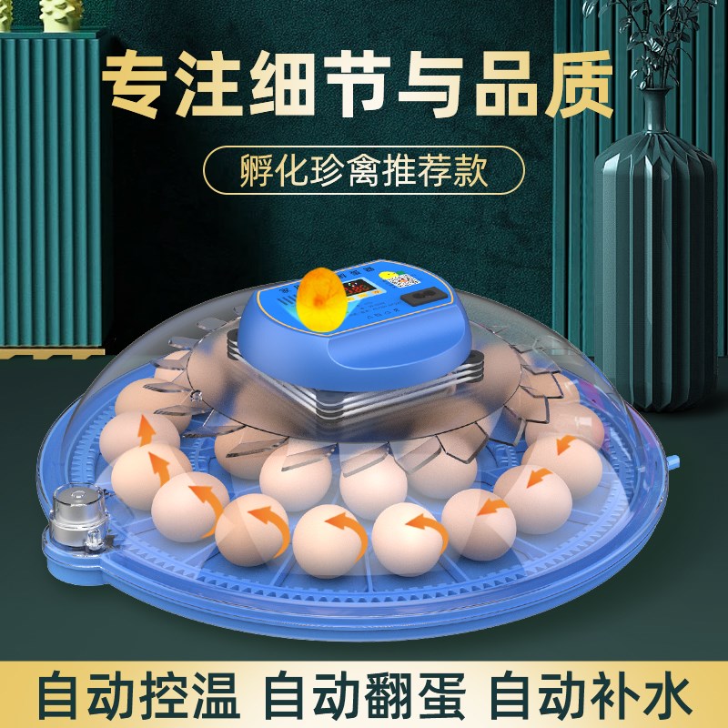 维谦小飞碟孵化器小型家用迷你孵化机智能全自动恒温芦丁鸡孵蛋箱
