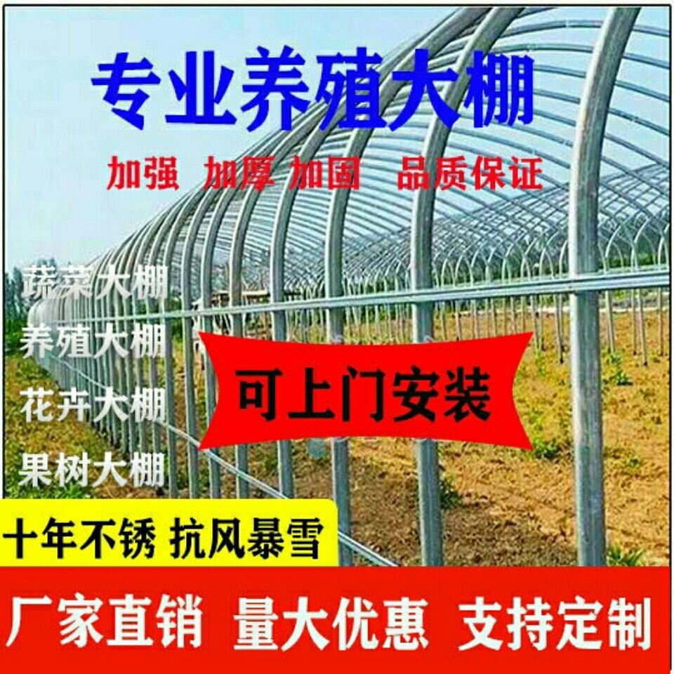 养殖大棚全套养鸡棚鹅猪牛棚连体棚家用种植棚玻璃温室大棚骨架