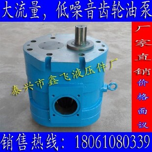 DCB BM700 B700低噪音大流量斜齿轮油泵 B700大流量油泵CB XTCB