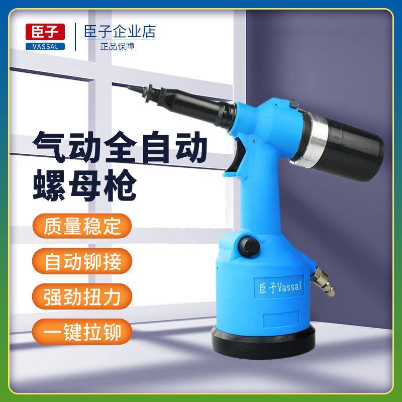 臣子气动全自动铆螺母枪拉铆枪拉母枪拉铆枪螺母铆接工具M3-M12