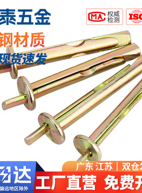 敲击式壁虎插片壁虎膨胀钉膨胀门窗吊顶膨胀螺丝螺栓大全M6M8
