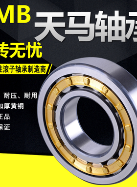 天马圆柱滚子轴承N NU NJ 202 203 204 205 206 207 208 EM/C3