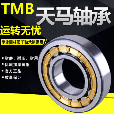 天马圆柱滚子轴承N NU NJ 202 203 204 205 206 207 208 EM/C3