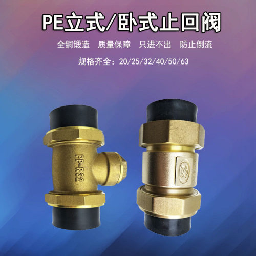 PE黄铜止回阀水管水表PPR20/25/63单向阀4/6分/1寸立式卧式逆止阀
