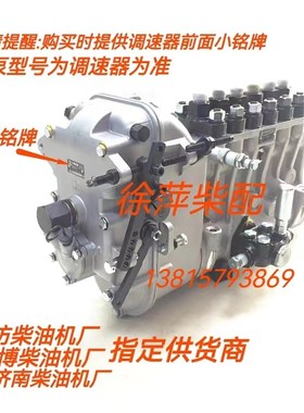 淄柴6170柴油机高压油泵Z6170柴油泵BHT6P9泵龙口龙泵燃油公司