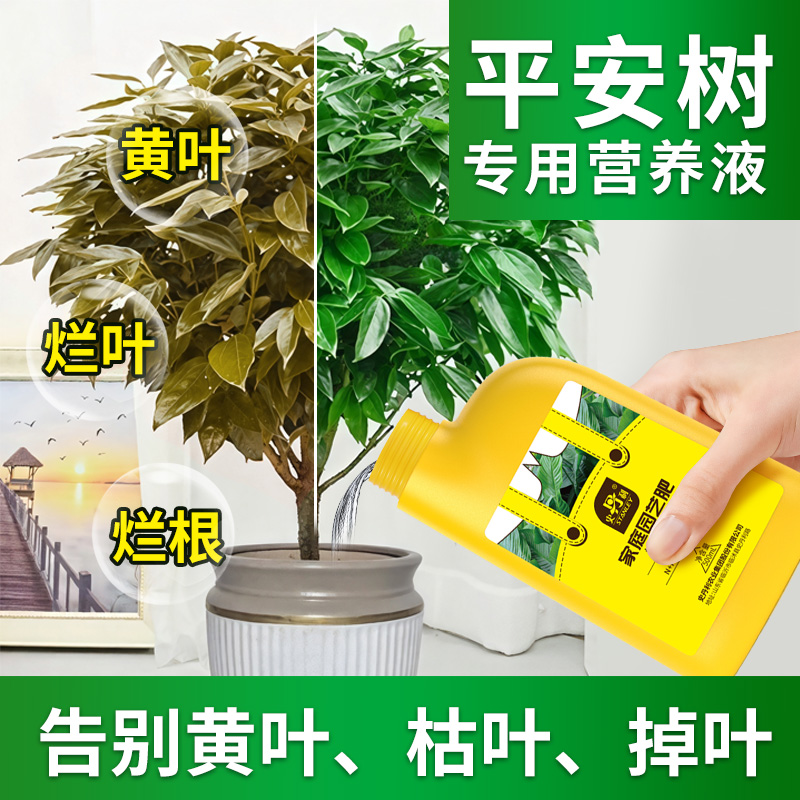 平安树肥料专用肥叶子干枯发黄肥幸福树盆栽家用植物通用型营养液