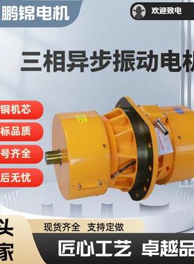 PJFL-75-66KW侧板振动电机法兰振动电机脱水筛振动筛用激振器