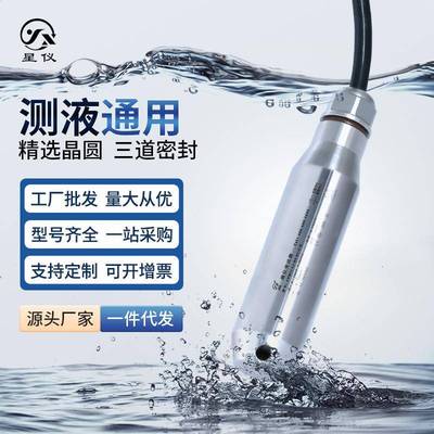 CYW11不锈钢接触投入式液位变送器测量传感器水位计485液位计